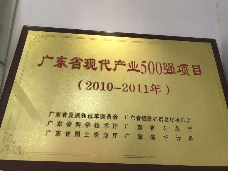 BYD Gabelstapler | 2010-2011 Guangdong Provinz Modern Industry Top 500 Projekt Z